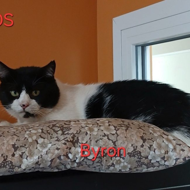 Byron