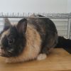 Titouf