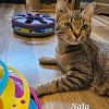 NALA
