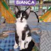 BIANCA
