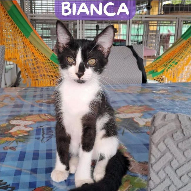 BIANCA