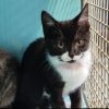 Oups