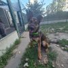 Arlo