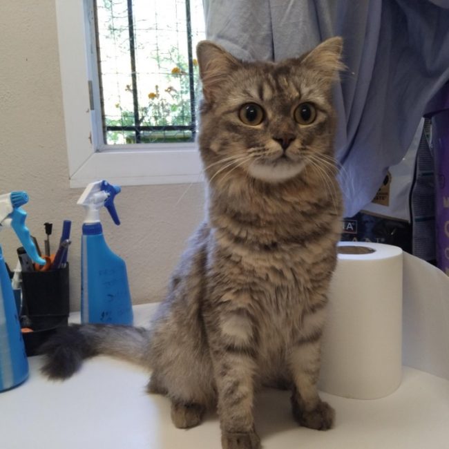 Luna