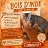 Bois d'Inde