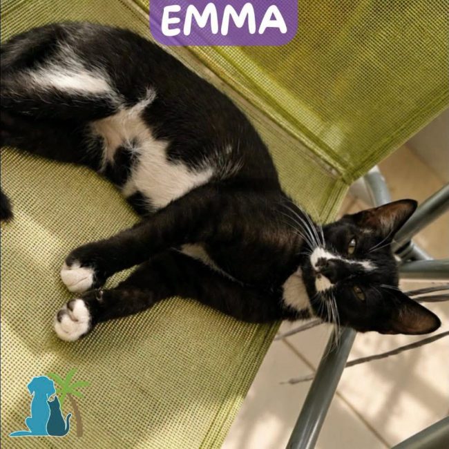 EMMA
