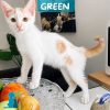 GREEN