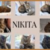 NIKITA 