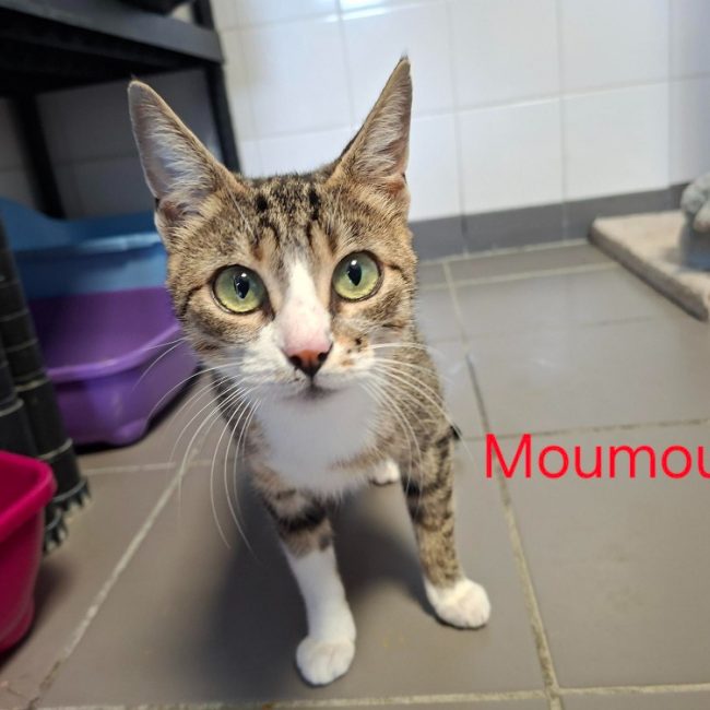 Moumoune