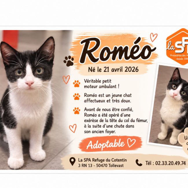 Romeo