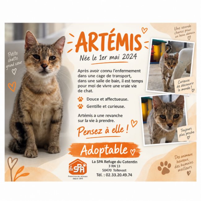 Artemis