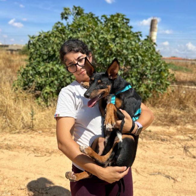 DOBBY - Chien à adopter