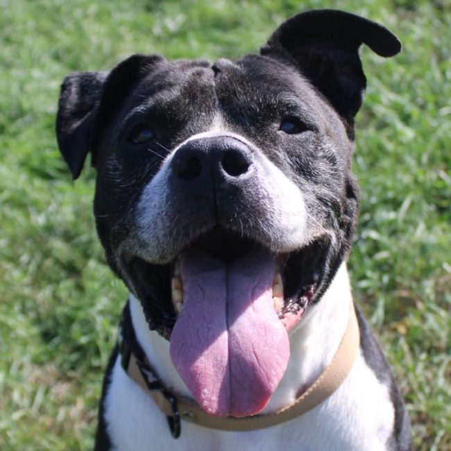 Tyson