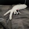 Kimy