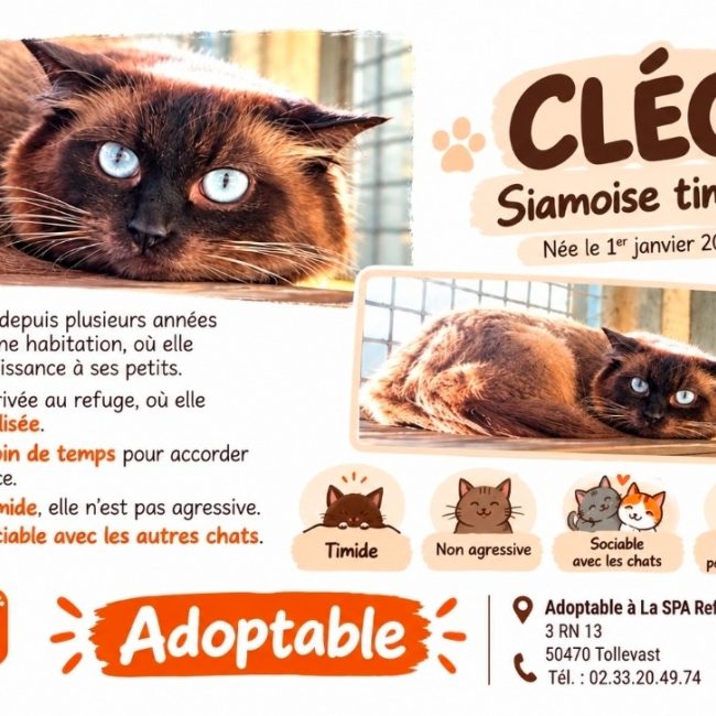 Cleo