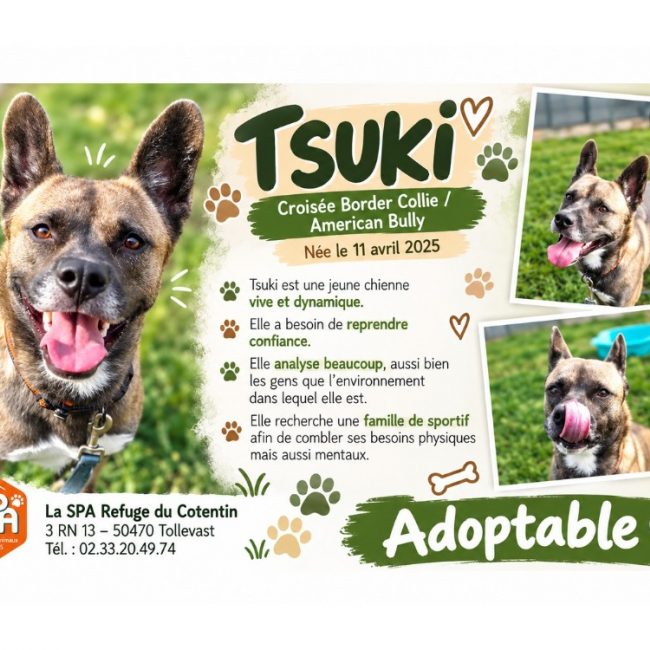 Tsuki