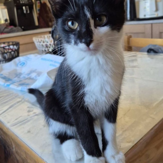 Luna