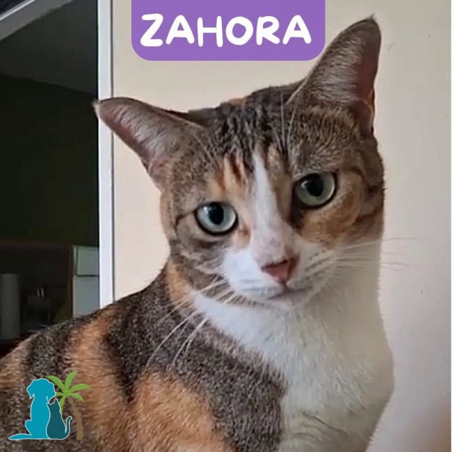 ZAHORA