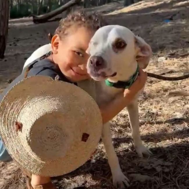 JADE - Chien à adopter