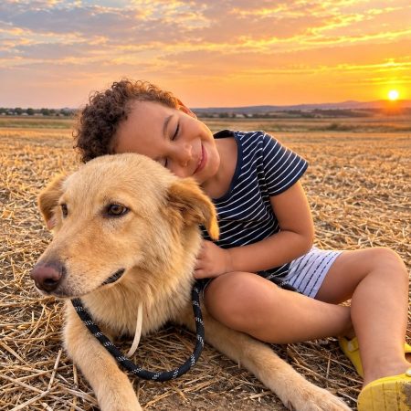 LINA - Chien à adopter