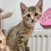 CALI | RESERVÉE