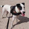 Ouspy