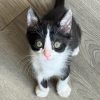 Bébé