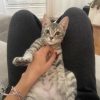 Mimi