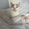 Charlie