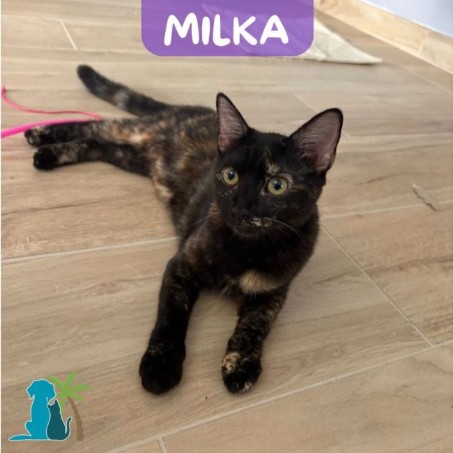 MILKA