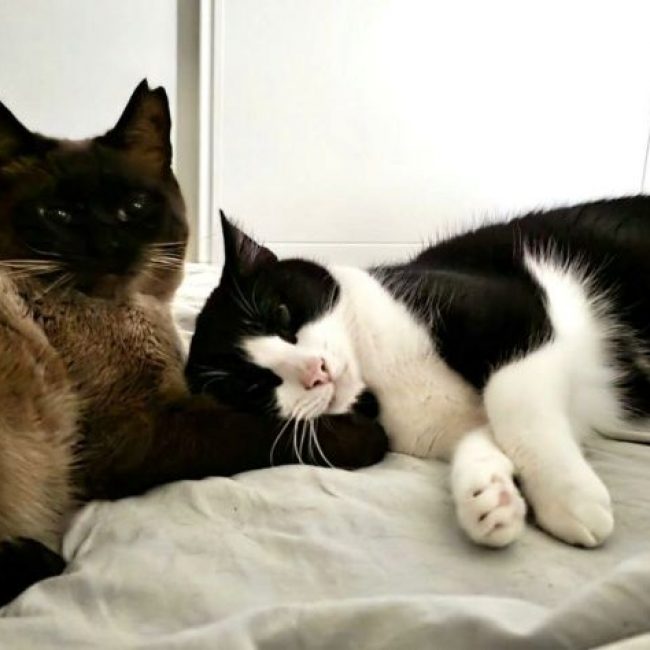 Oscar et Betty