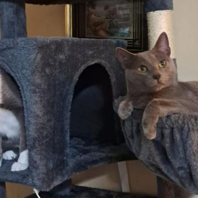 Pumita et Pavarotti 
