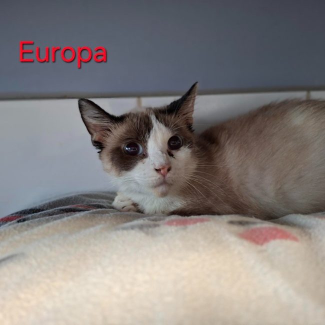 Europa