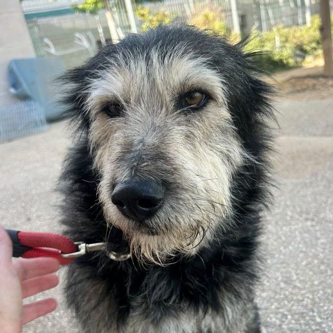 Sam