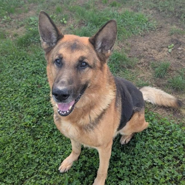 Odin