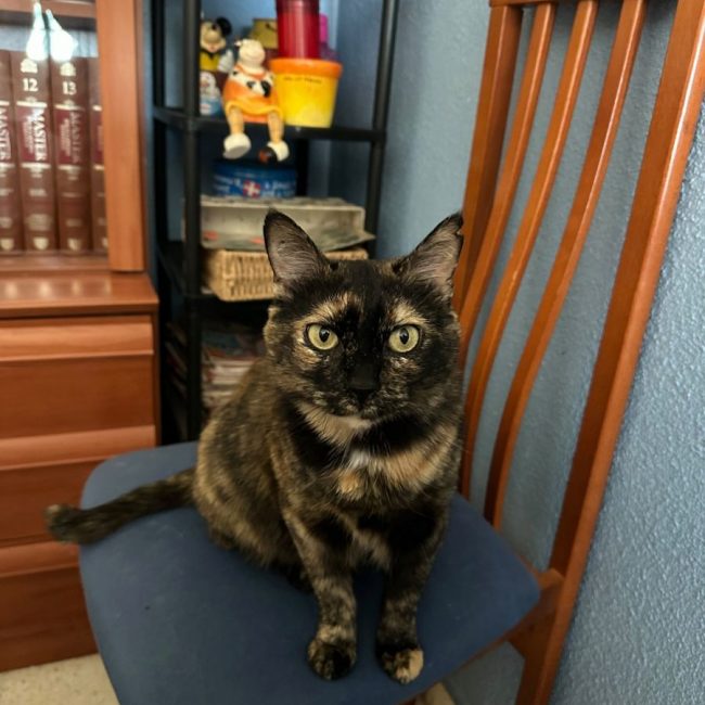 Lucy