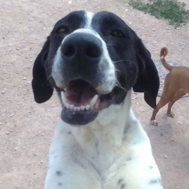 PILI et MILI - Adoption double