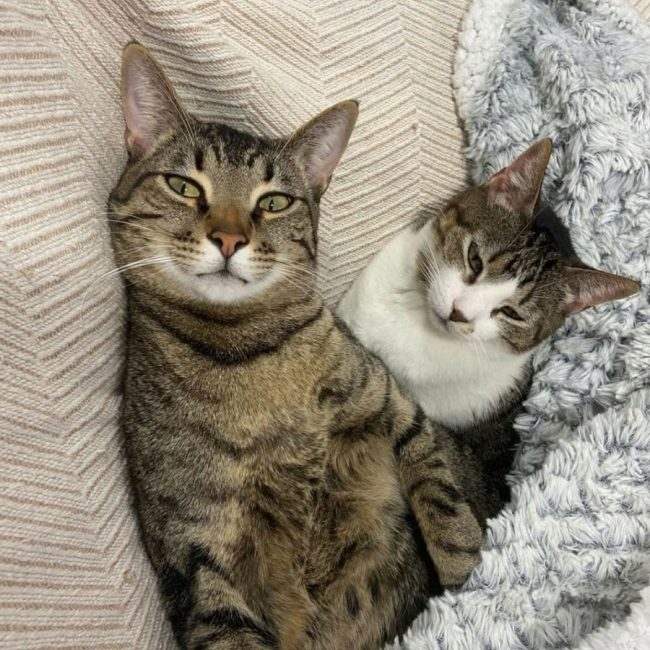Dulce et Puchero