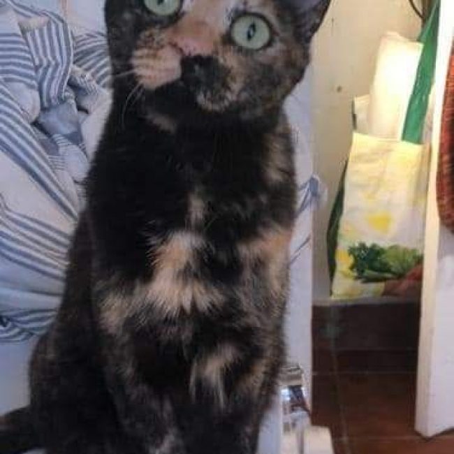 Fiona