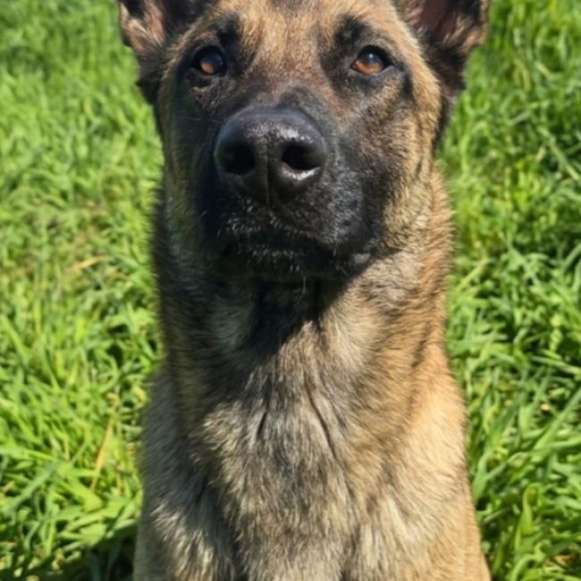 Ragnar