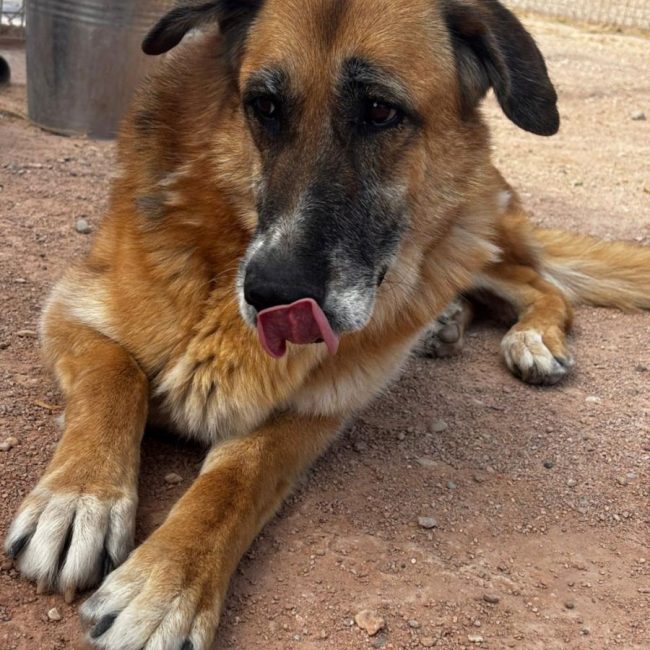 Kika