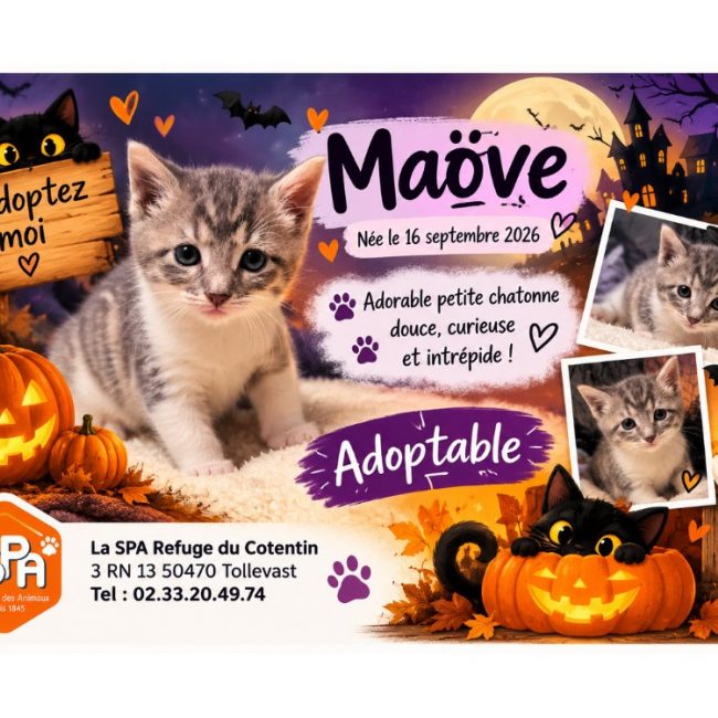 Candy / maove