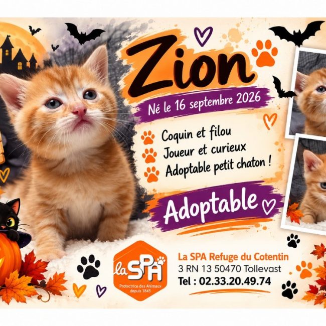 Zion