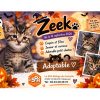 Zeek