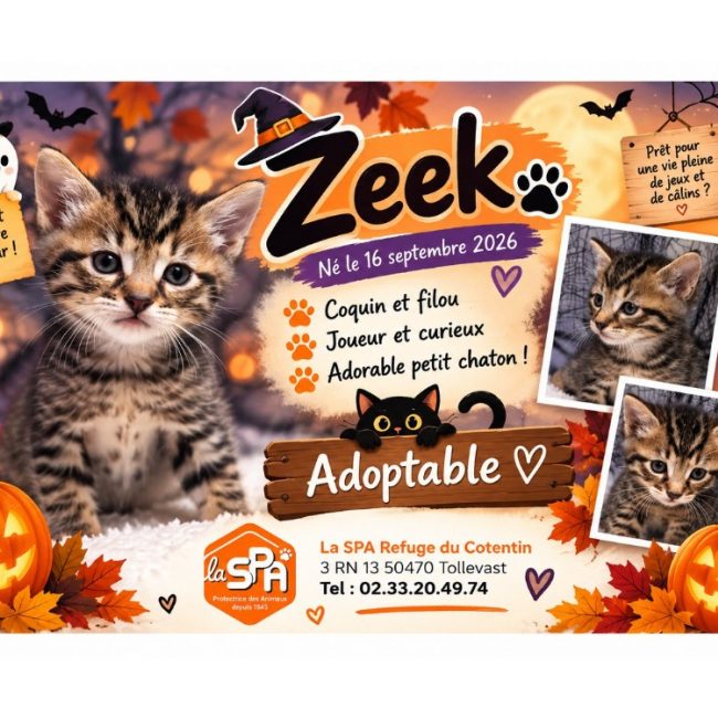 Zeek