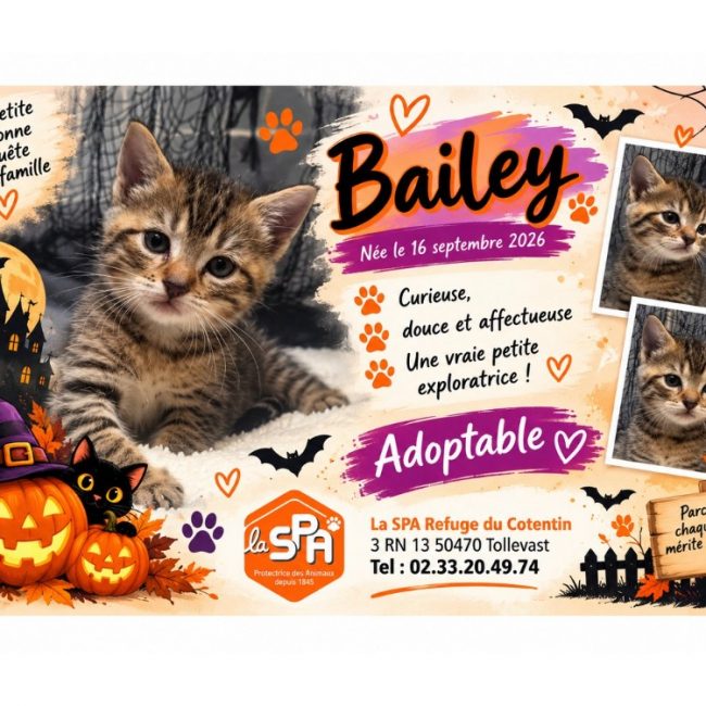 Bailey