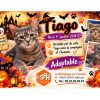 Tiago