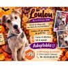 Loulou