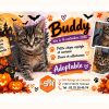 Brandy /buddy