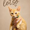 lopso